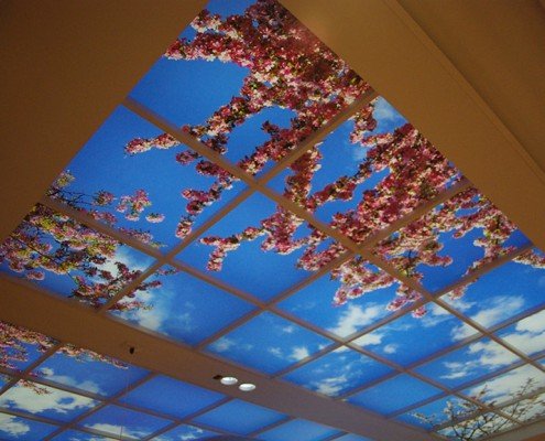 Royal Hobart Hospital Integrated Cancer Centre glazed and lit blossom mural photo ceiling