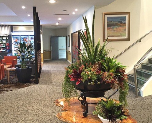 Barossa Park Lodge, Glenorchy Tasmania - entry hall