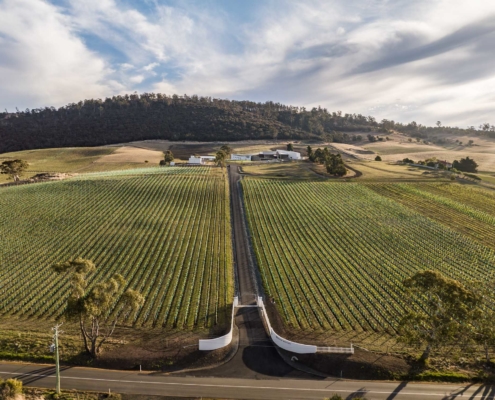 Pressing Matters Winery - Entry Gates